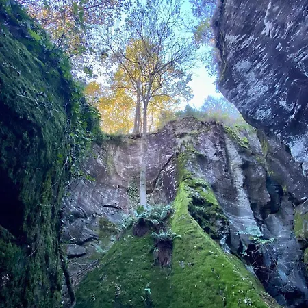 Ca Dell'agrifoglio Apartament