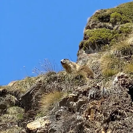 Ca Dell'agrifoglio *