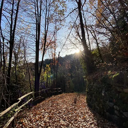 Ca Dell'agrifoglio * Crodo