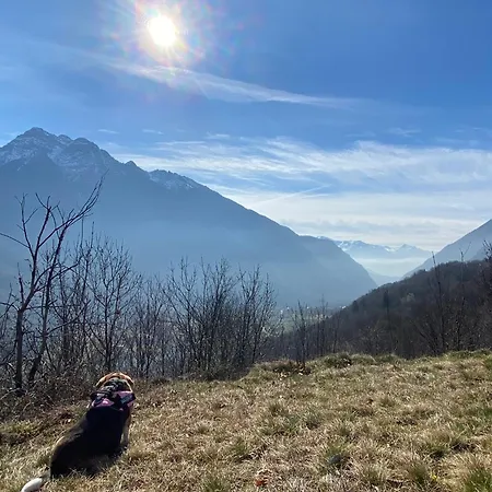 Ca Dell'agrifoglio Lägenhet *