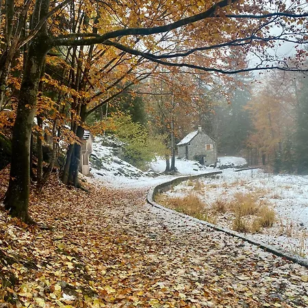 Ca Dell'agrifoglio Lägenhet *