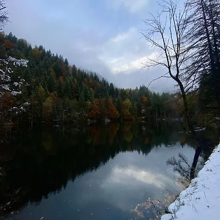 Lägenhet Ca Dell'agrifoglio *